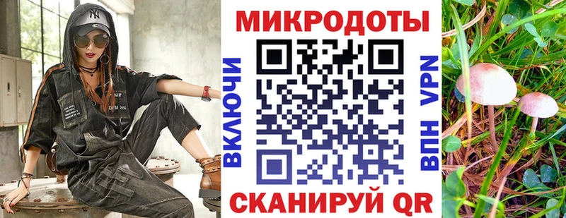 Псилоцибиновые грибы MAGIC MUSHROOMS  наркотики  Шимановск 